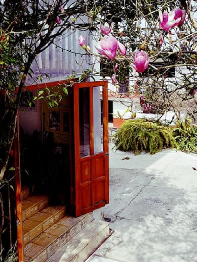 梅森游画利禅酒店 Cuetzalán del Progreso 外观 照片
