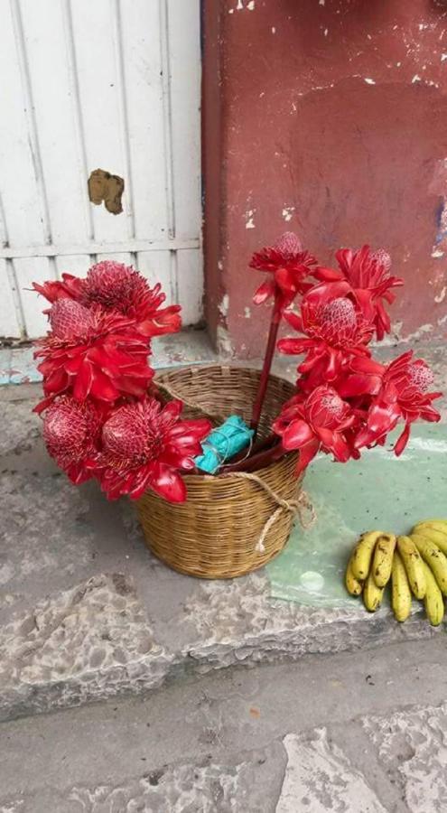 梅森游画利禅酒店 Cuetzalán del Progreso 外观 照片